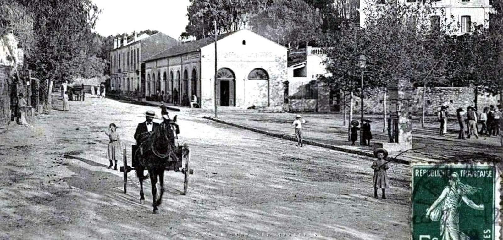 795- Alger - Bouzareah2.jpg